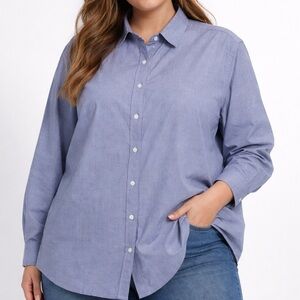 Ann Taylor Classic Blue Button-Down Shirt
